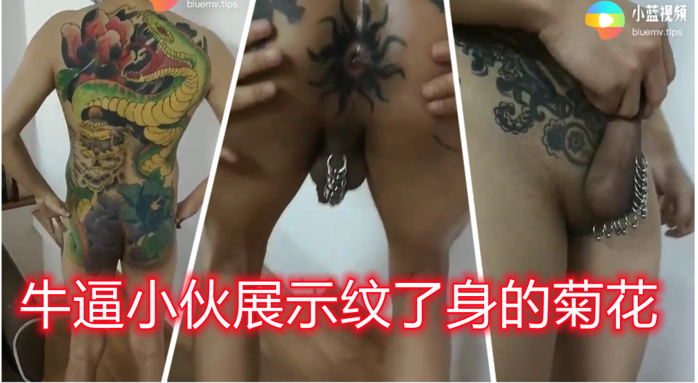 牛逼小夥展示他那紋身的屁眼和打環雞巴，真的佩服紋身師能給屁眼子紋身